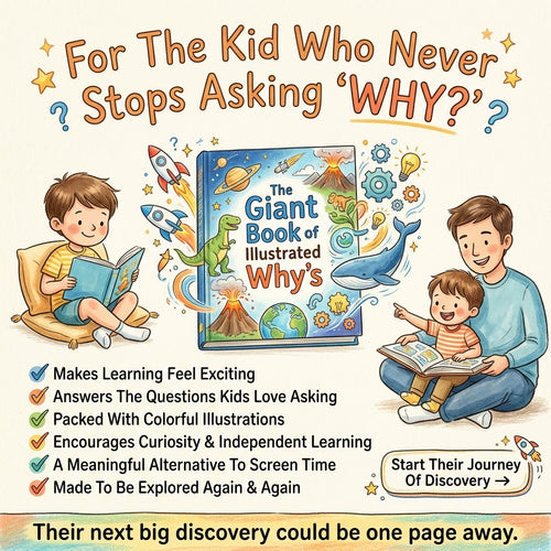 The Book For Curious Kids