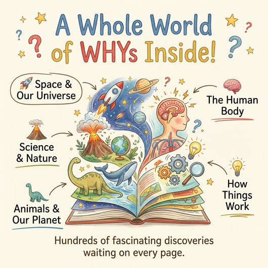 The Book For Curious Kids